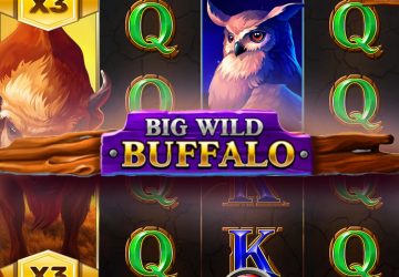 Игра Big Wild Buffalo в казино Мартин